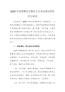 2024年巡察整改專題民主生活會情況報告范文參考
