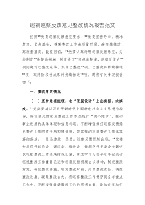 巡視巡察反饋意見整改情況報告范文