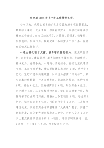 發(fā)改局2024年上半年工作情況匯報(bào).