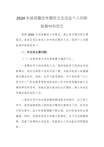 2024年巡視整改專題民主生活會(huì)個(gè)人對(duì)照檢查材料范文