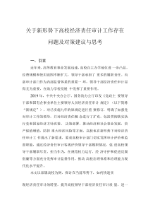關(guān)于新形勢下高校經(jīng)濟責(zé)任審計工作存在問題及對策建議與思考