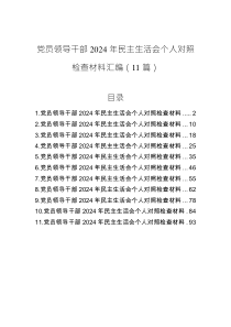 黨員領(lǐng)導(dǎo)干部2024年民主生活會(huì)個(gè)人對(duì)照檢查材料匯編（11篇）