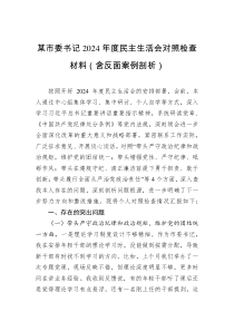 某市委書記2024年度民主生活會(huì)對(duì)照檢查材料（含反面案例剖析）