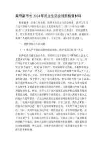政府副市長2024-2025年民主生活會對照檢查材料