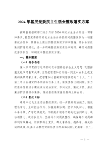 2024年基層黨委民主生活會整改落實方案