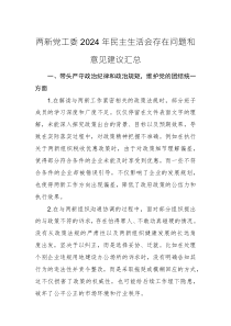 兩新黨工委2024年民主生活會存在問題和意見建議匯總