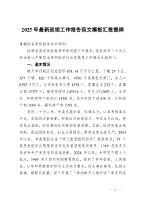 2025年最新巡視工作報告范文模板匯報提綱