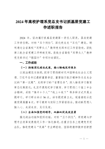 2024年高校護理系黨總支書記抓基層黨建工作述職報告