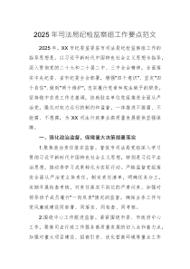 2025年司法局紀(jì)檢監(jiān)察組工作要點(diǎn)范文