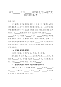 審計(jì)資料-離任（任中）經(jīng)濟(jì)責(zé)任審計(jì)報(bào)告
