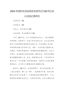 2024年組織生活會前黨支部書記與副書記談心談話記錄例文
