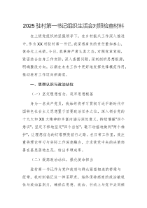 2025駐村第一書記組織生活會對照檢查材料例文