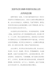 支部書(shū)記在2025年組織生活會(huì)上的點(diǎn)評(píng)講話文稿