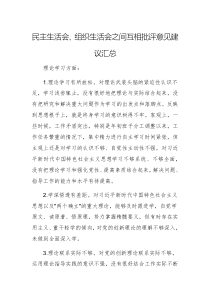 民主生活會(huì)、組織生活會(huì)之間互相批評意見建議匯總供借鑒