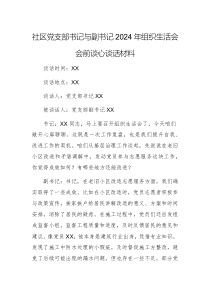 黨支部書記與副書記2024年組織生活會(huì)會(huì)前談心談話材料文稿