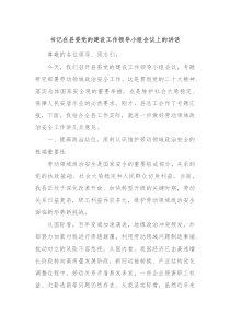 書記在縣委黨的建設(shè)工作領(lǐng)導(dǎo)小組會議上的講話