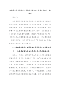 在縣委宣傳思想文化工作領(lǐng)導(dǎo)小組2025年第一次會(huì)議上的講話