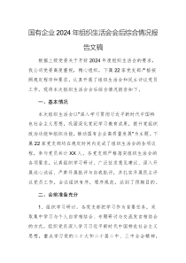 國(guó)有企業(yè)2024年組織生活會(huì)會(huì)后綜合情況報(bào)告文稿