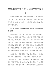 2024年度民主生活會(huì)個(gè)人問題的整改方案范文