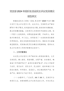 黨支部2024年組織生活會民主評議黨員情況報告例文