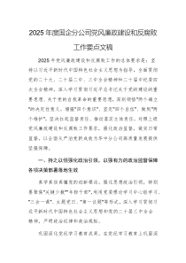 2025年度國(guó)企分公司黨風(fēng)廉政建設(shè)和反腐敗工作要點(diǎn)文稿