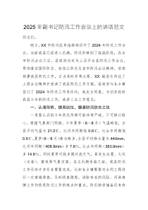 2025年副書記防汛工作會議上的講話范文