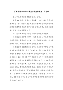 區(qū)審計(jì)局2025年一季度公平競爭審查工作總結(jié)