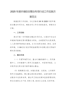 2025年度環(huán)境綜合整治專項行動工作實施方案范文