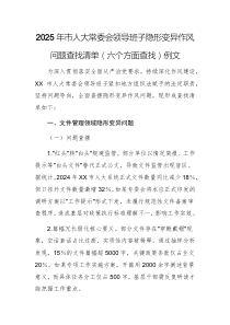 2025年市人大常委會(huì)領(lǐng)導(dǎo)班子隱形變異作風(fēng)問題查找清單（六個(gè)方面查找）例文