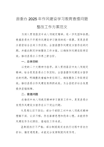 機(jī)關(guān)辦公室2025年作風(fēng)建設(shè)學(xué)習(xí)教育查擺問(wèn)題整改工作方案范文