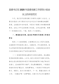 書記在2025年縣委黨建工作領導小組會議上的講話范文