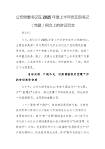 公司黨委書記在2025年度上半年黨支部書記（黨建）例會上的講話范文