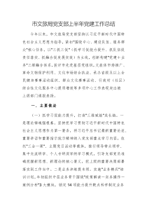 文旅單位黨支部上半年黨建工作總結(jié)范文