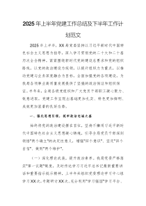 2025年上半年黨建工作總結(jié)及下半年工作計(jì)劃范文