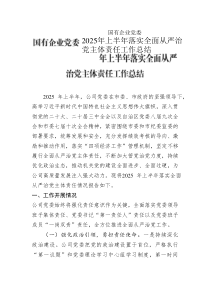 國(guó)有企業(yè)黨委2025年上半年落實(shí)全面從嚴(yán)治黨主體責(zé)任工作總結(jié)