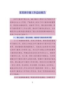 某某鎮(zhèn)專題工作總結(jié)報告