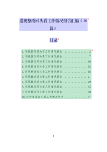 巡視整改回頭看工作情況報(bào)告匯編_10篇